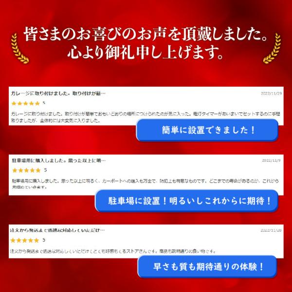 wayetto_wtsl0014_2_d_20221212233231