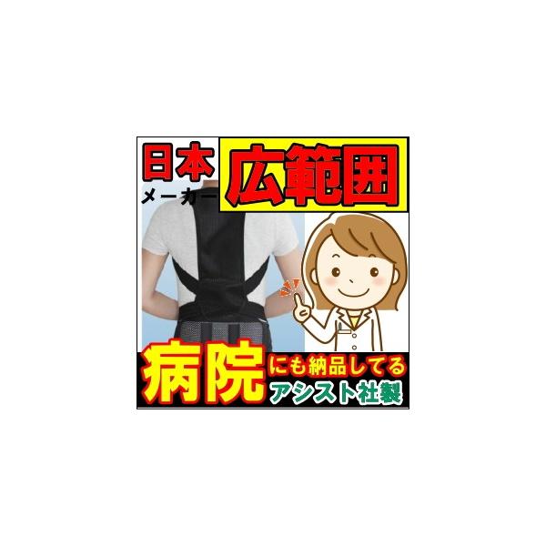 w؂xgDX wؒ AVXg ASSIST fBi[X w Y T|[^[ xg wؐL΂ Lw  bV  ×p 荘