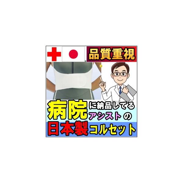 ASSiST コルセット 腰痛サポートベルト 胸部 サポーター ライト ASSiST コルセット 腰痛サポートベルト 胸部 サポーター ライト