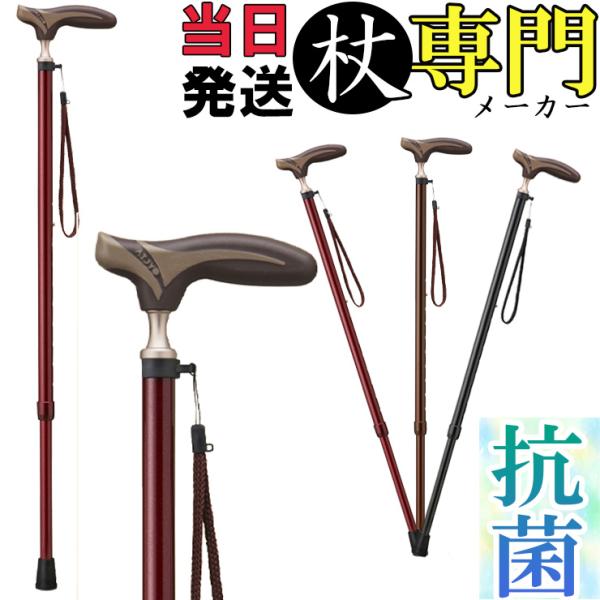  Lk A~ ׂ X  Xgbv XlbN RpNg  R EK-81   IV  jp p qI 