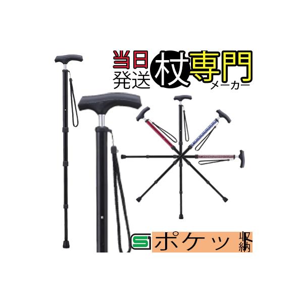  Lk A~ ׂ X  Xgbv XlbN RpNg  |PbgXebL PS-1   IV  jp p