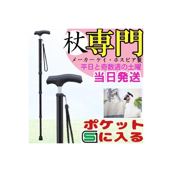  Lk A~ ׂ X  Xgbv XlbN RpNg  |PbgXebL PS-1   IV  jp p