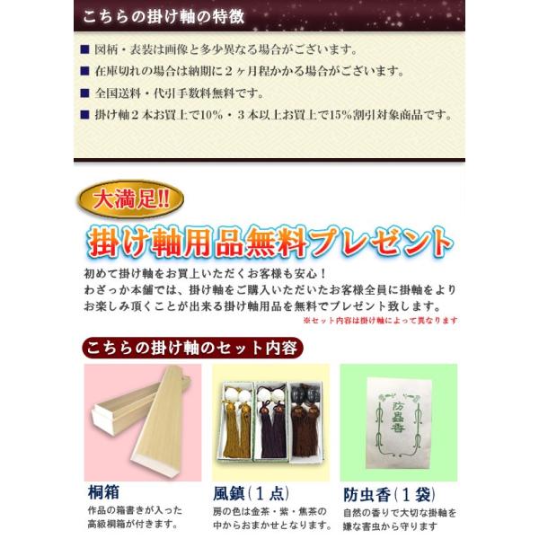 掛け軸 掛軸 釈迦名号 南無釈迦牟尼仏 渡辺雅心 尺五 尺五丈 54 5 150cm 高級桐箱入 全国送料無料無料 代引き手数無料 Supersport Tn