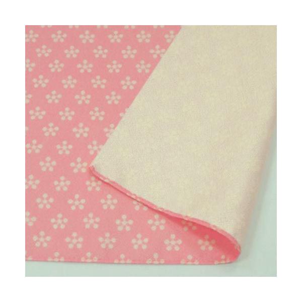 C~@|GXe@Ђӂ낵 70 GF Ƃ x~ sN^N[