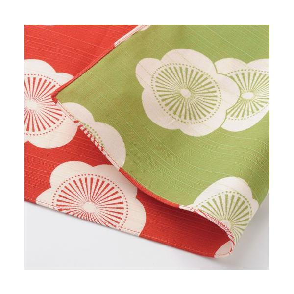 C~@ɍl@`[tӂ낵 48 ~ AJEO[