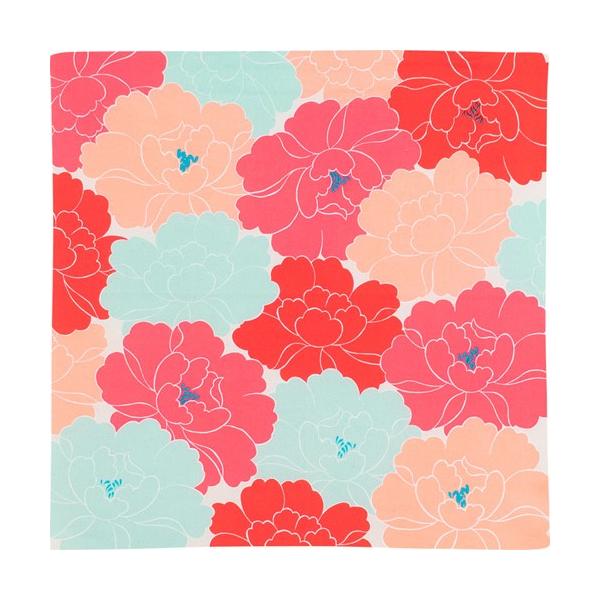 C~ ӂ낵 50cm Ђ߂ނ Adeline Klam O bh yѕtz Ή [֑Ή MtgΉ