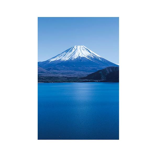 wazakkawakei_20009706