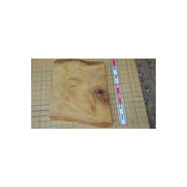 クスノキ、530（長さ）、　530〜590（幅、木表、表面の平らな部分の寸法）52（厚み）単位ミリ、       写真の縦横のマス目は5cmです、写真1〜8枚目木表、9〜16枚目木裏を表示しています、自然乾燥材です、       自然オイル...
