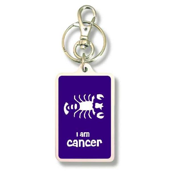 SIZE:W3.3cm H5cm屋外使用ＯＫ！耐水性のあるステッカーがキーホルダーの両面に張られています。便利な2WAYなので鍵と一緒はモチロン、カバンや携帯など色々なところでお楽しみ下さい。