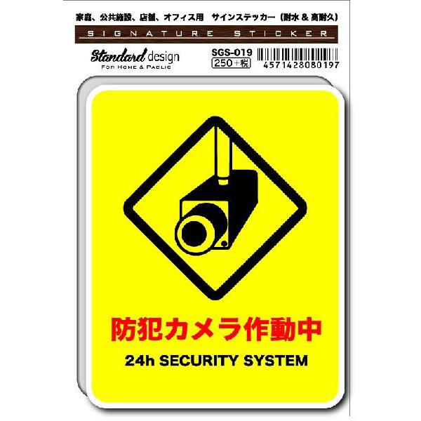 SGS019 サインステッカー 防犯カメラ作動中 ステッカー 識別 標識 注意 警告 ピクトサイン ピクトグラム