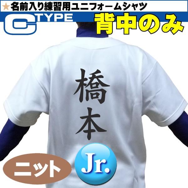 Mizuno ミズノ 野球ユニフォーム 昇華プリント ジュニア用 名前入り練習用ユニフォームシャツ ニット Cタイプ 背中のみ 12jc9f8001 Nb Buyee 日本代购平台 产品购物网站大全 Buyee一站式代购 Bot Online