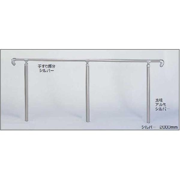 OAv[`()肷 AP-21 ߍݎ