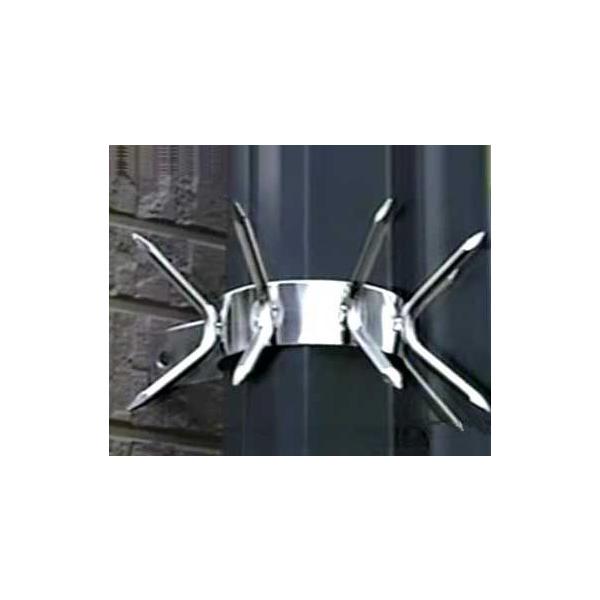 EѕԂ oh r pCv J p 60~