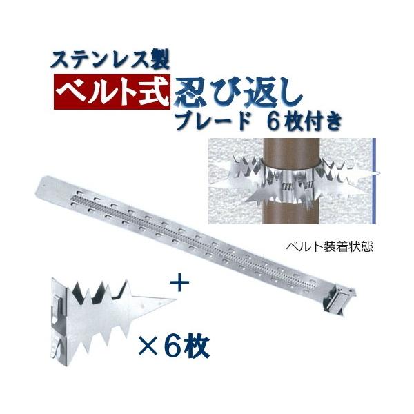 xgEѕԂ(cEpCvp)u[hUtZbg