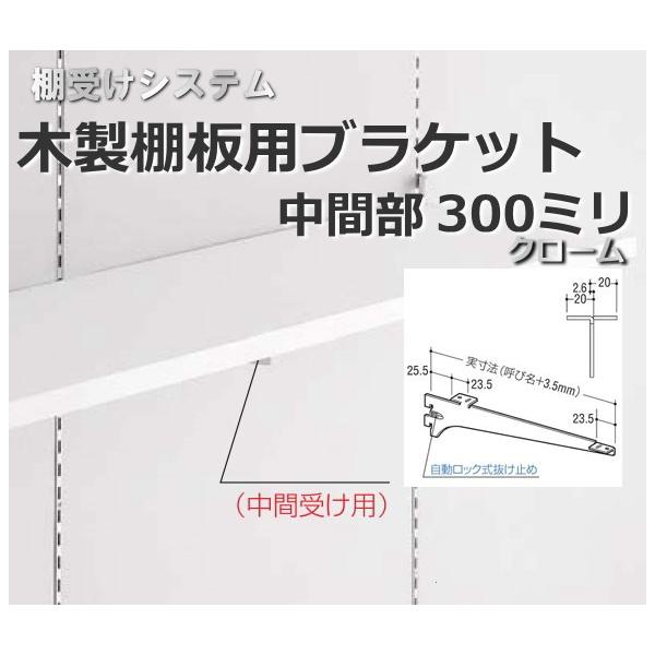 I󂯋 ؐIpuPbgԕ300~