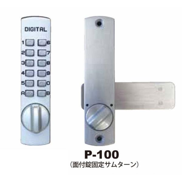 Ï ԍ  ⏕  (  ) fW^ bN P100