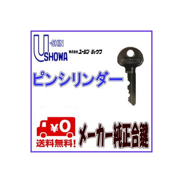 SHOWAsV_[ǉL[EU-shinSHOWAL[