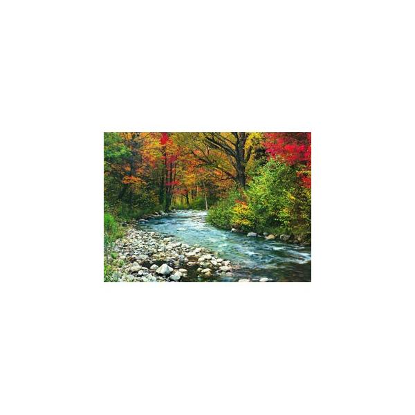 Eurographics 1000s[X WO\[pY [OtBbNX Xт̗ 6000-2132