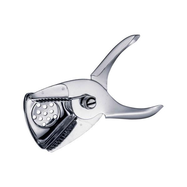 AJE^Ntg AM XeX VgXXNCU[ LS206