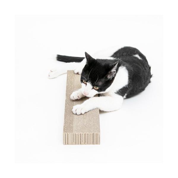 HappyDays S~oɂ߂Ƃ ւ