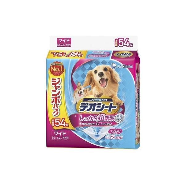 jE`[ fIV[g 蒴z L^Cv Ch 54