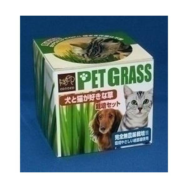 GCNGCc ƔLDȑ ͔|Zbg