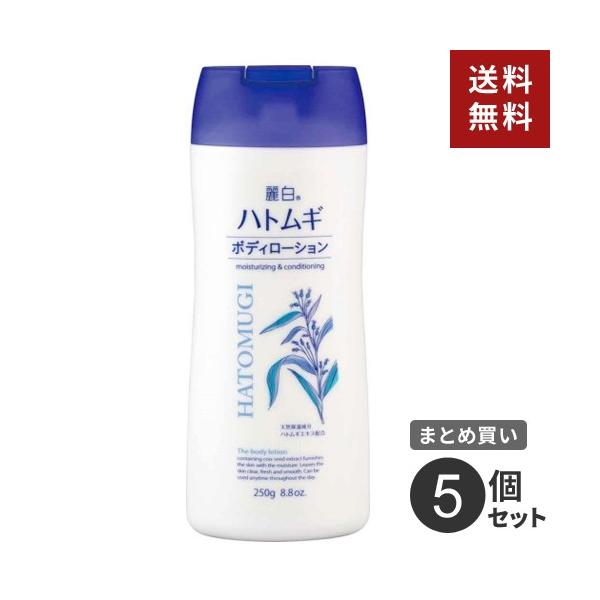 ܂Ƃߔ F 픒 ngM{fB[V 250g 5