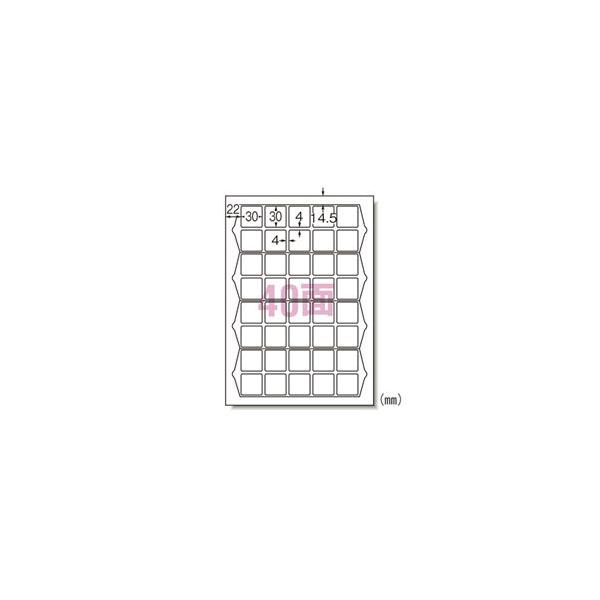 |Xg ܂Ƃߔ G[ xV[ v^p HG^Cv p 40 20 ` A4 75240 wZ ItBX MtgV[ 3Zbg