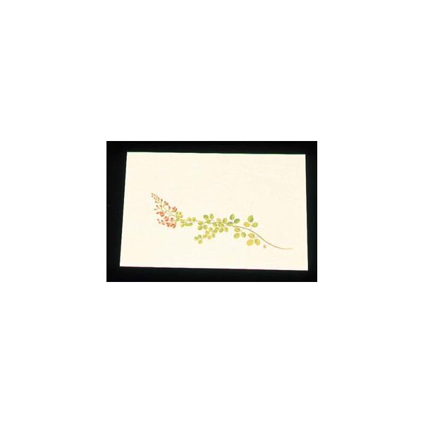 A[ebN ڎO ΂܂ N[ 100  WSS-11