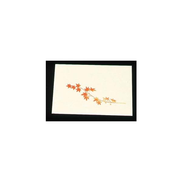 A[ebN ڎO ΂܂ N[ 100 ݂ WSS-12