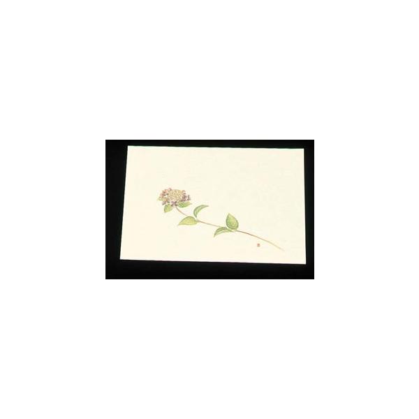 A[ebN ڎO ΂܂ N[ 100  WSS-6