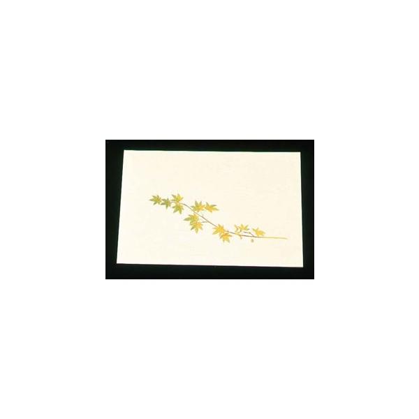 A[ebN ڎO ΂܂ N[ 100 O[݂ WSS-9