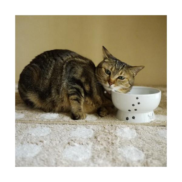 L nbs[_CjO rtEH[^[{E L ~߃VRt