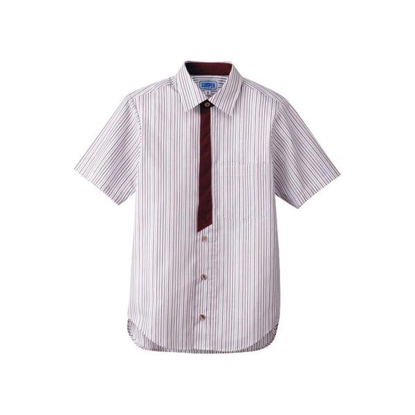 Vc jp GW b L BT-3123 T[H TybNXCXg Ɩp jtH[ 