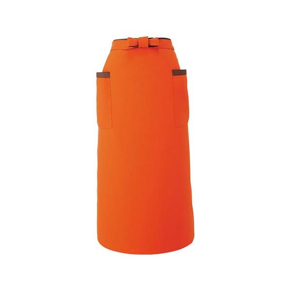 \GGv IW  EA-6727 T[H TybNXCXg Ɩp jtH[  O|