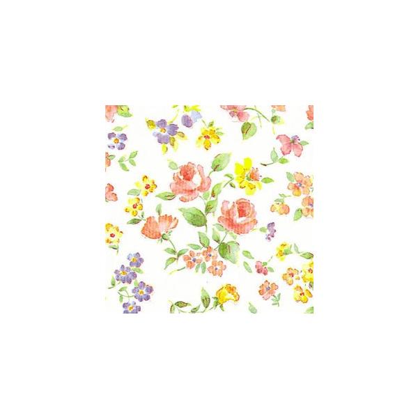 ■ 入数： 100枚■ 本体色(軸色)： ロマネスク■ 規格： 半才■ 寸法： 縦530×横757mm■ 紙質： 上質紙