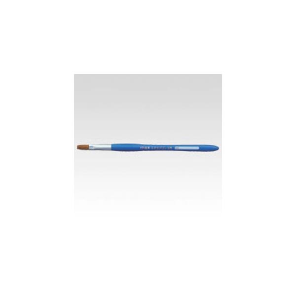 �T�N���N���p�X ��M�l�I�Z�u���� ���M 6�� NF6