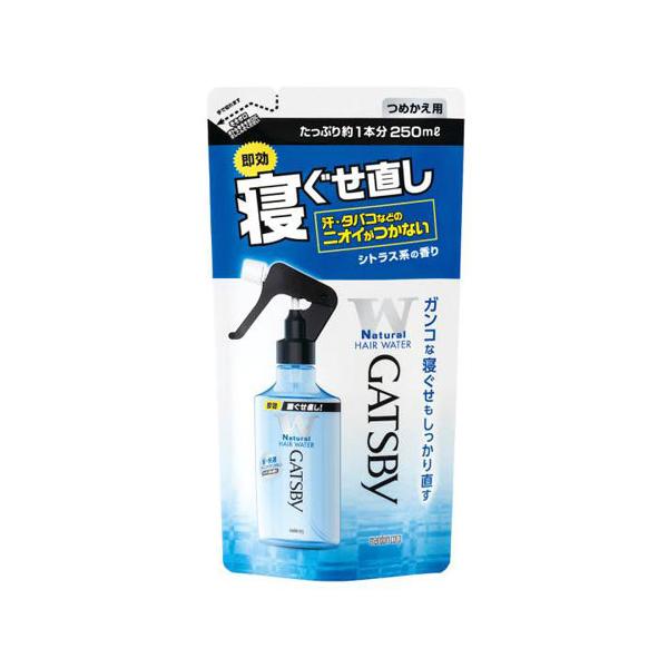 }_ GATSBY Mcr[ QEH[^[ ߂p 250ml