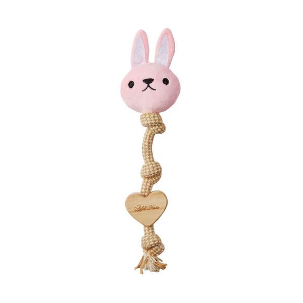 yeBI Petio EbfB[vAj} 