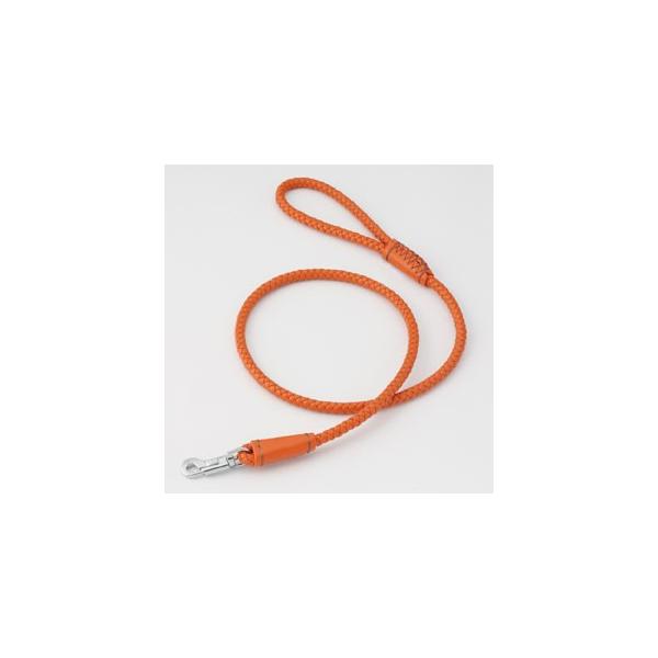 yeBI Petio }jG [h M IW 5411183