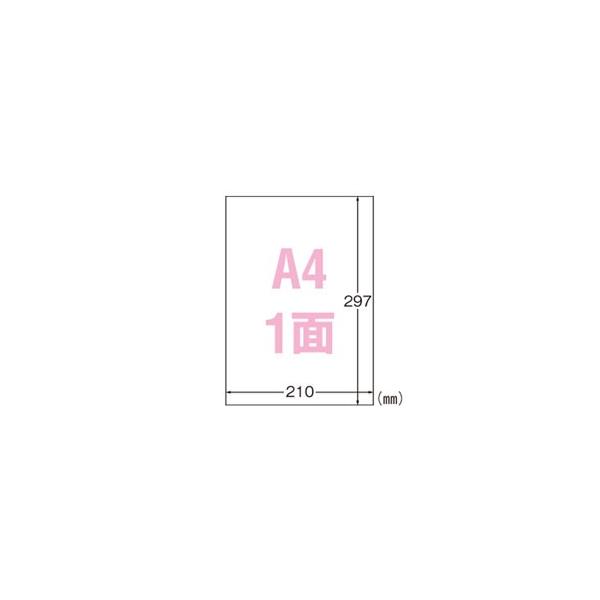 |Xg xV[ G[ Ox IJ UVJbgیJo[t 򓧖 A4 31023 10 m[Jbg ϐ ό