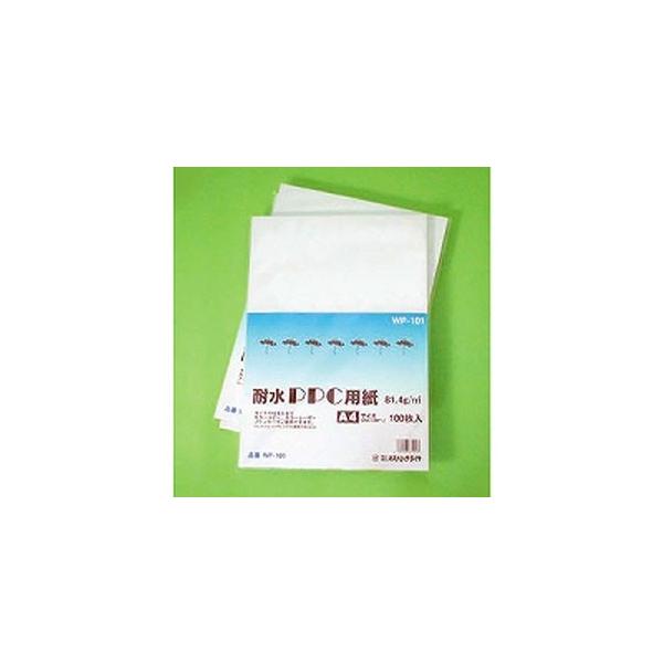 IXgb`_C ϐPPCp A4 100 WP-101