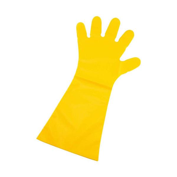 pbN G{X #50 O CG[ ܖ{i 50 M 45