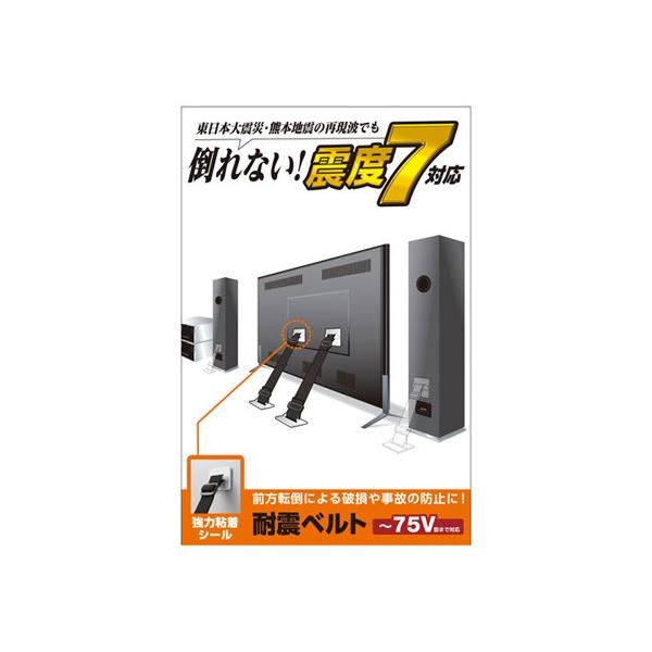 GR ELECOM TVpϐkxg `75Vp ͔SV[^Cv 2{ TS-002N2