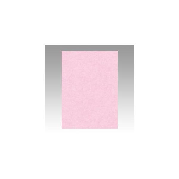 ^ Fp j[J[ 4  4NCR-218