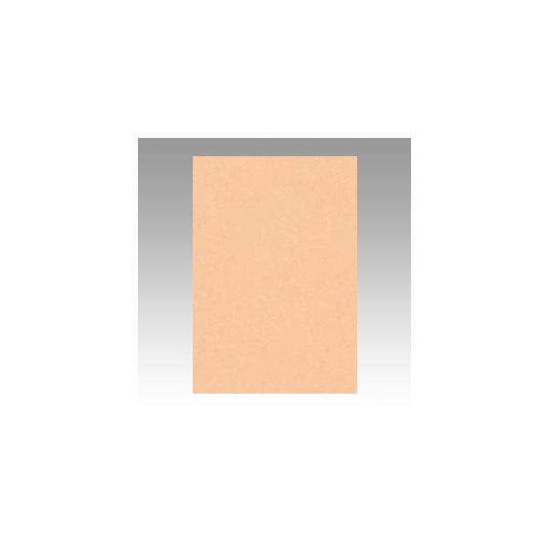 ���^�� �F��p�� �j���[�J���[ 8�� ������������ 8NCR-103