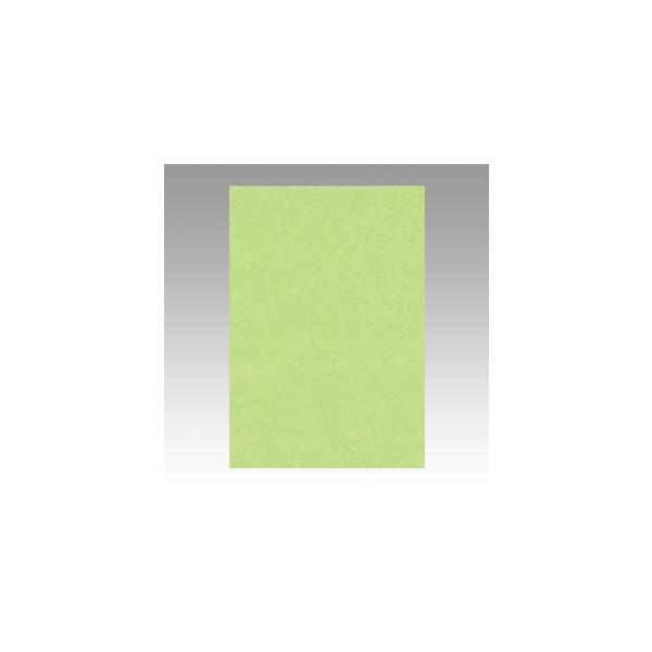 ^ Fp j[J[ 8 킩 8NCR-243