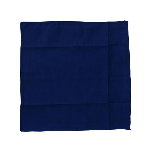 TORAY �g���V�[ �ی�S�[�O�� �N���[�j���O�N���X 19×19cm �l�C�r�[