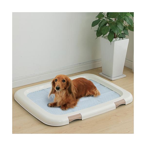 ACXI[} t`ꂵɂ ybgg[ zCg FMT-635