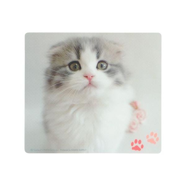 |Xg TTvC }EXpbh XReBbVtH[h MPD-215E